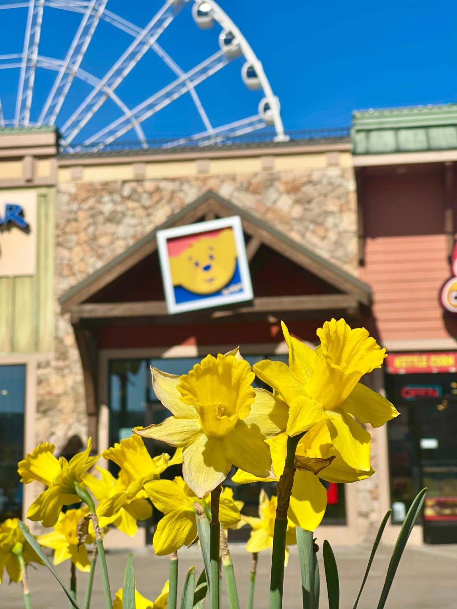 Villa Lee'S Creekside Pigeon Forge Exterior foto